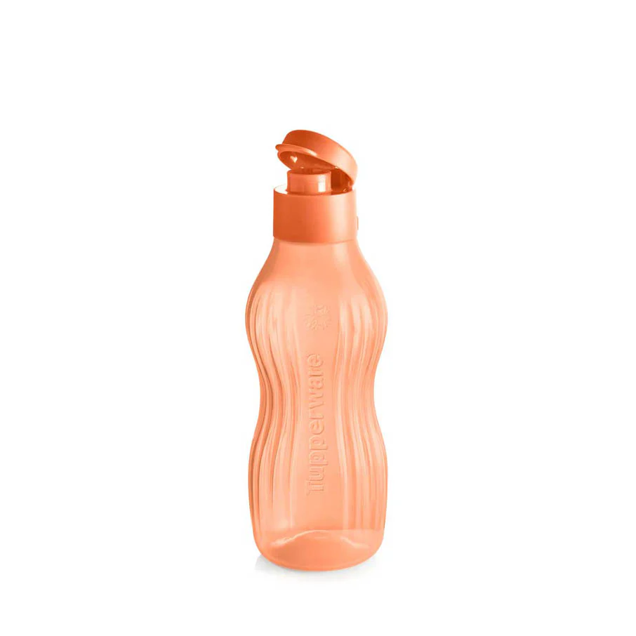XtremAqua® Botella Congelable Pequeña* 500mL (Cozy Rosy) - Tupperware US