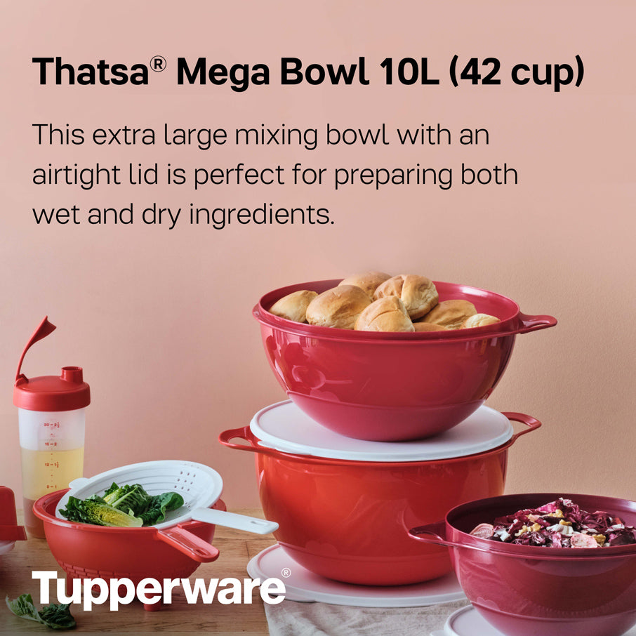 Thatsa® Mega Bowl 10L (42 taza)