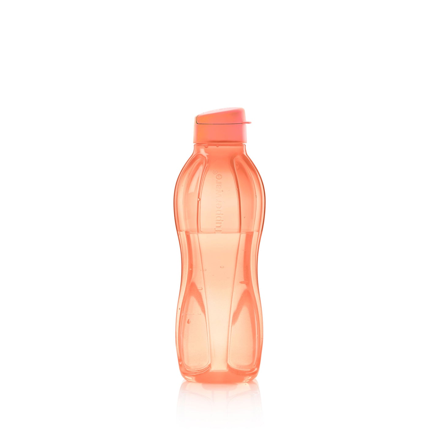 Botella de agua pequeña Eco+ 16oz