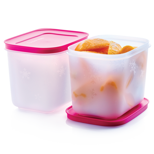 Set 3 Frigofechadores para Guardar Alimentos en congelador – Tupperware  Digital